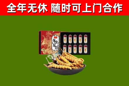 广昌回收冬虫夏草价格