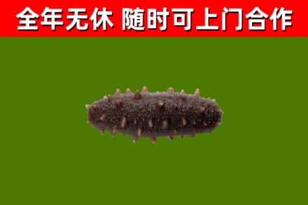 广昌烟酒回收干海参.jpg